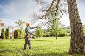 How Our Tree Care Process Works  in Atglen, PA